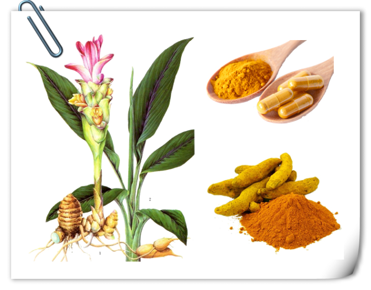 Curcumin