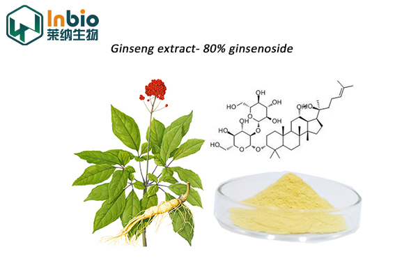 Ginsenoside 80%