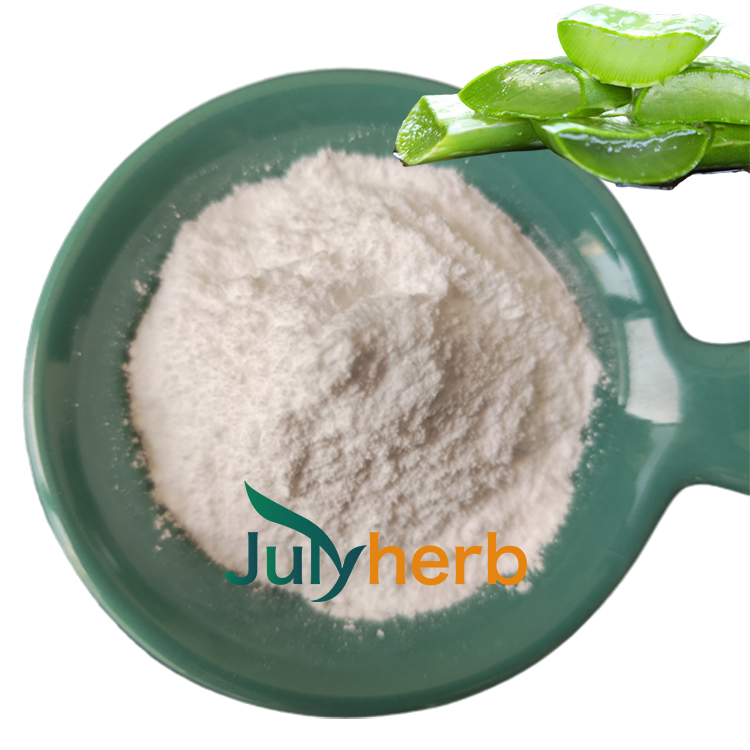 aloe vera gel powder