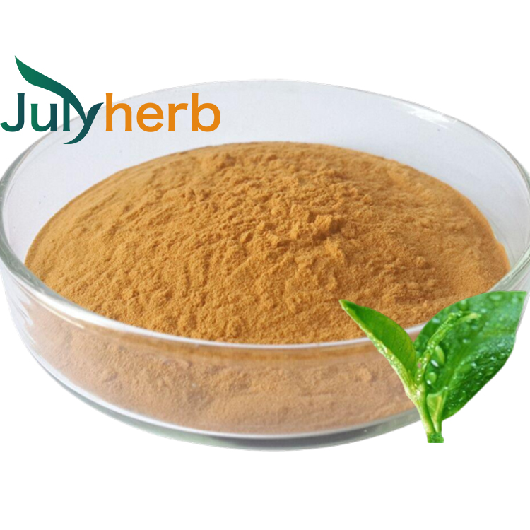 Polyphenols powder