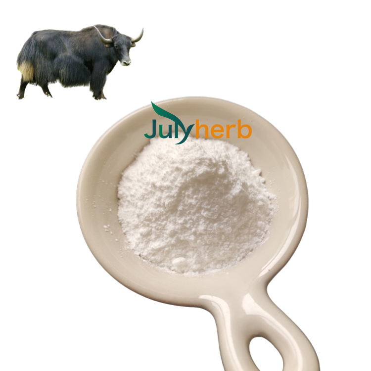 Yak bone peptide