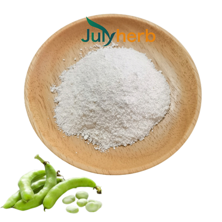 Broad Bean Protein