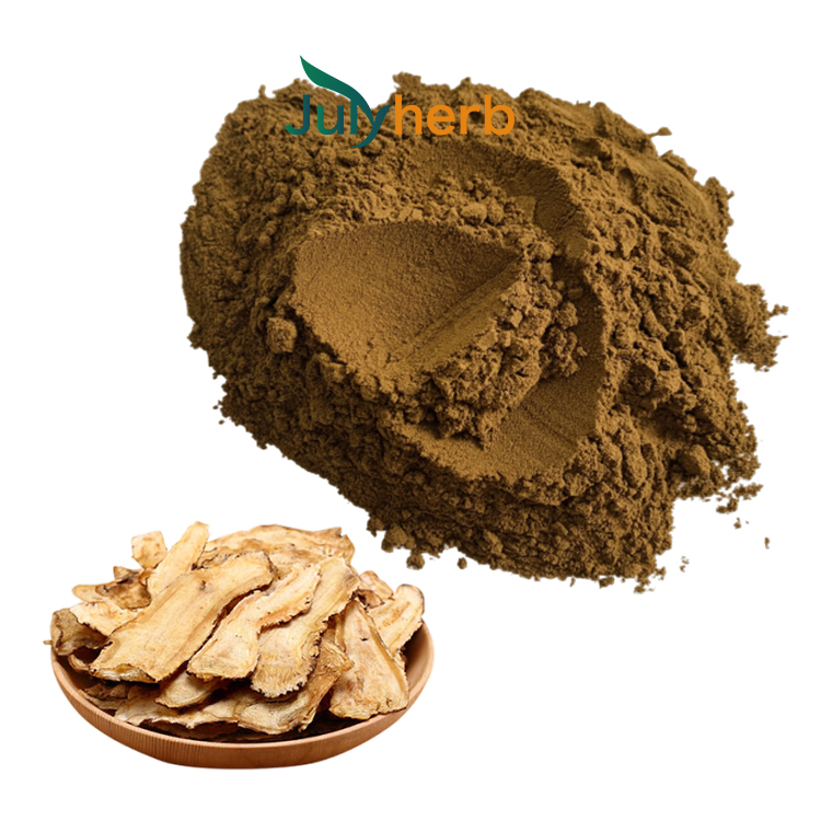 Angelica Root Extract