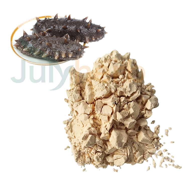 Sea Cucumber Collagen Peptide