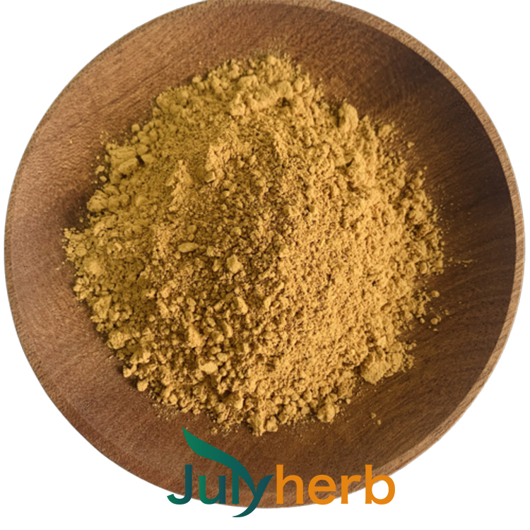 Phyllanthus Extract powder