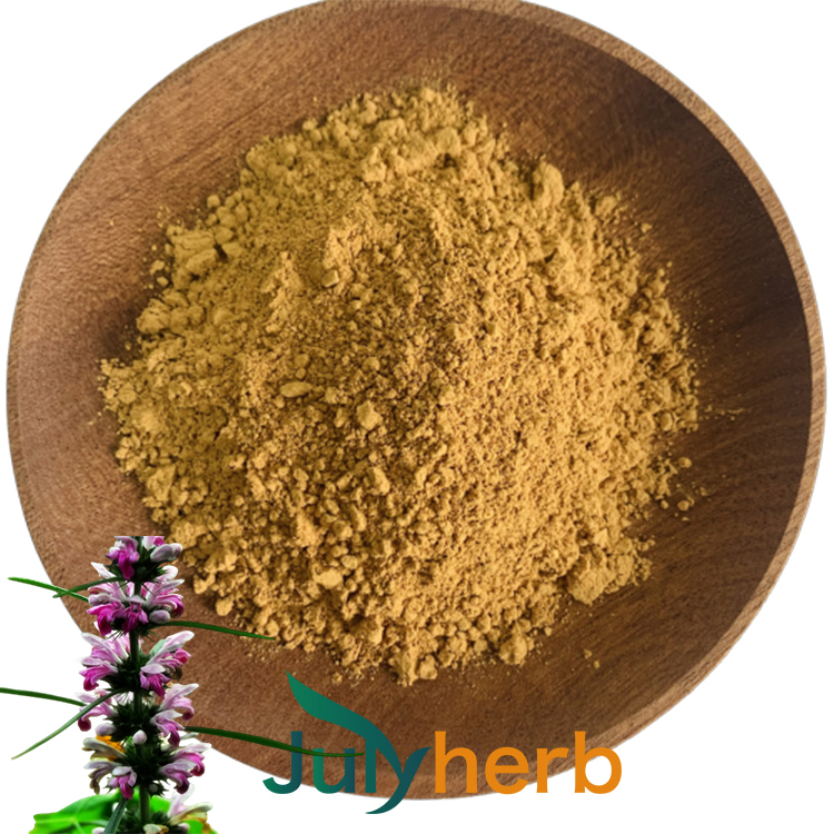 motherwort extract leonurus artemisia