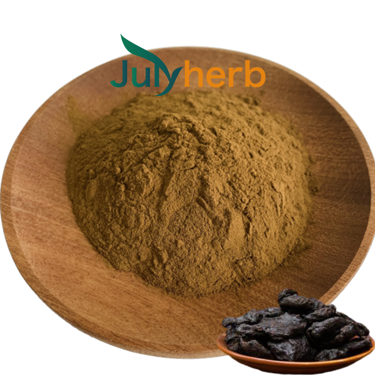 Black ginger extract powder 