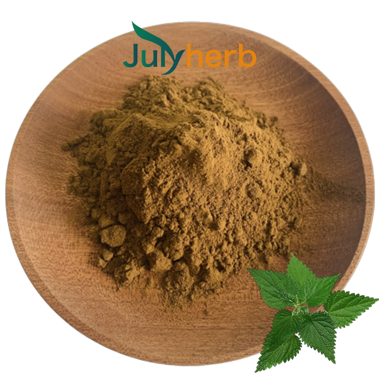Nettle extract powder 