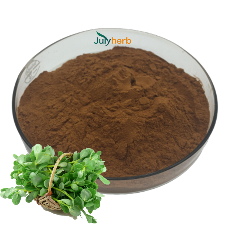 purslane extract 20% Purslane saponins